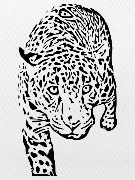 leopard schwarz schwarzer Leopard
