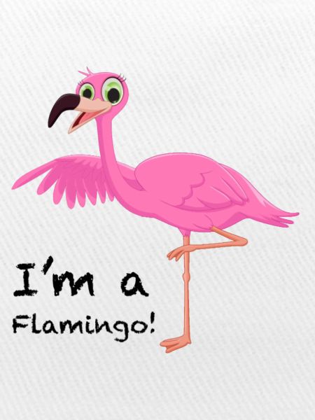 Flamingo Pose in Pink