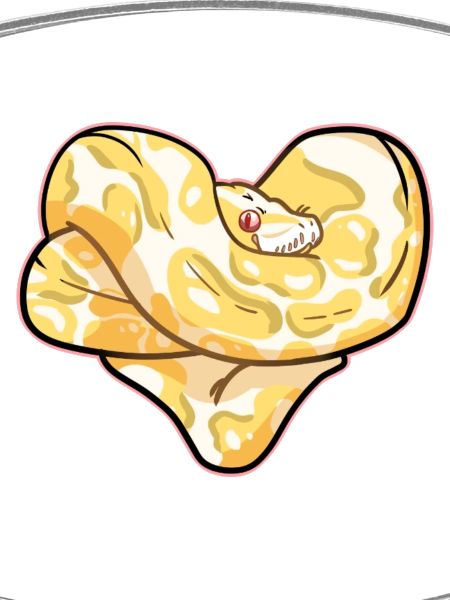 Neugierige Python Dschungelbewohner