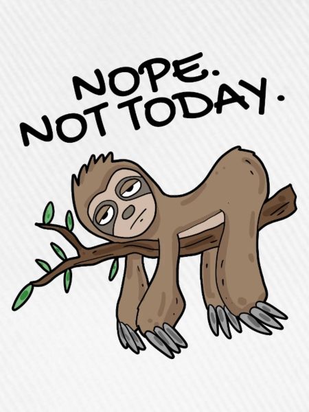 Sloth Nope not today