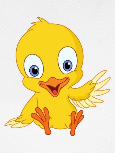 Cute chick