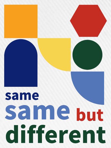 same same but different