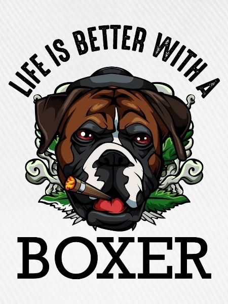 boxeur