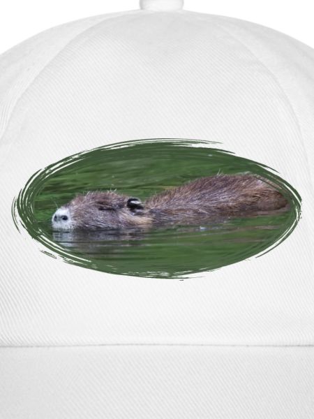 Nutria Biber Biberratte Wasserratte
