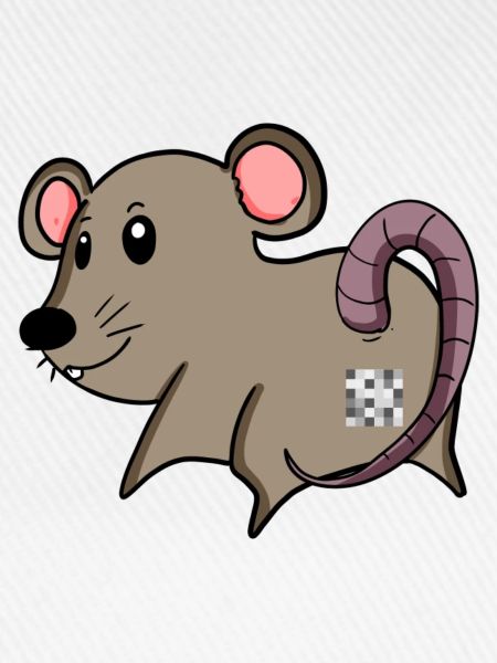 Maus Arsch - Maus Hintern