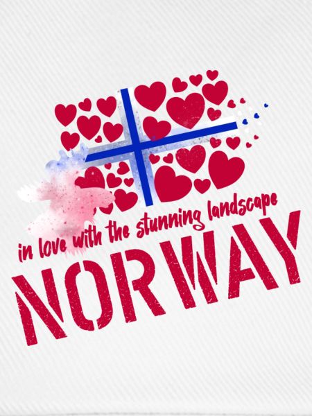 Norwegen Elch norge