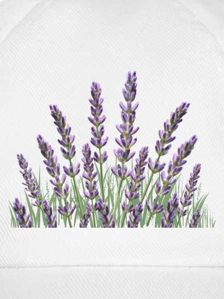 Lavendelhalme Lavendel