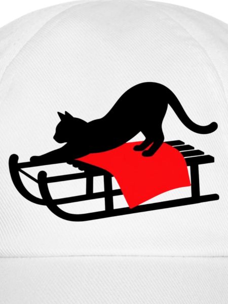 gatto_nero_sulla_slitta_con_copertina_rossa