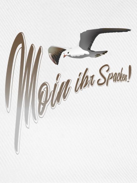 Moin ihr Spacken Möwe