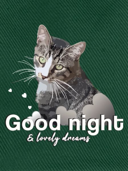 Schlafshirt gute Nacht good night