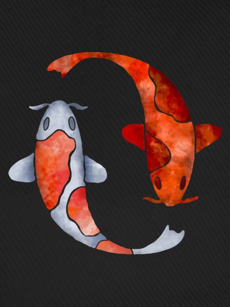 Koi