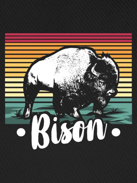 Zotteliger Bison Steppenbewohner