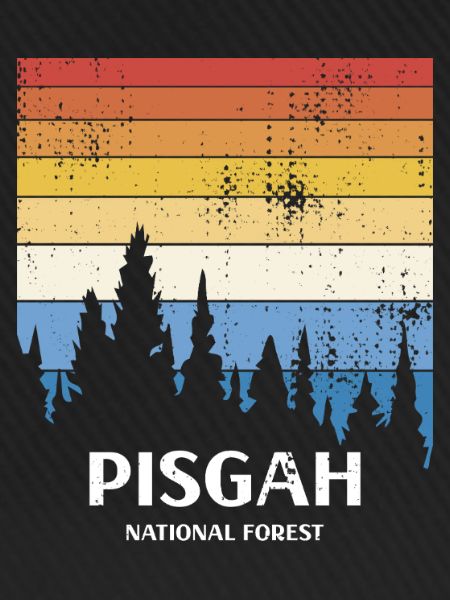 Pisgah National Forest