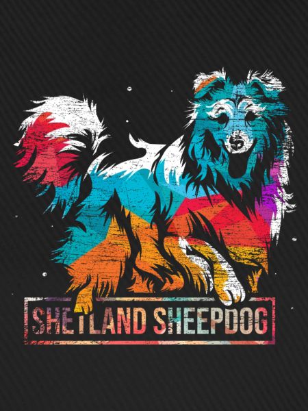 Pfiffiger Sheltie Colliezüchter