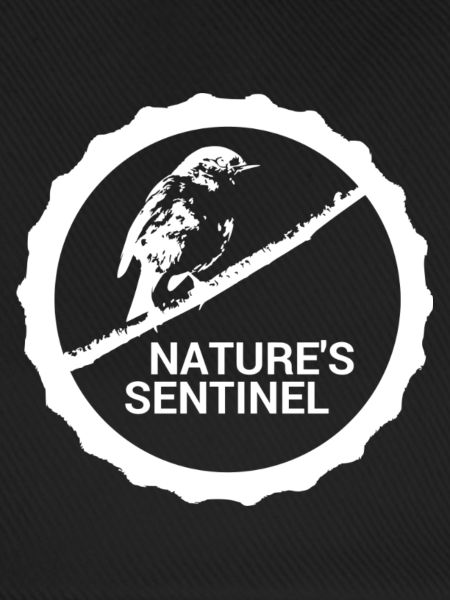 Wächter der Natur #Rotkehlchen