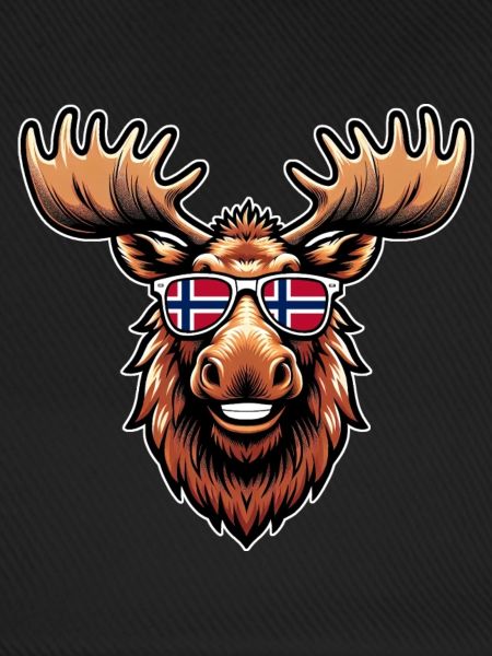 Norwegen Fanartikel