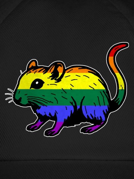 Rennmaus in Regenbogenfarben