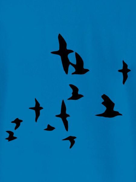 birds