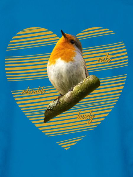 Rotkehlchen robin Erithacus rubecula