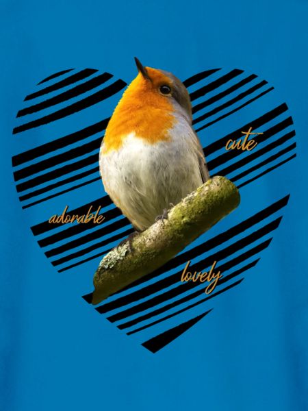 Rotkehlchen Singvogel