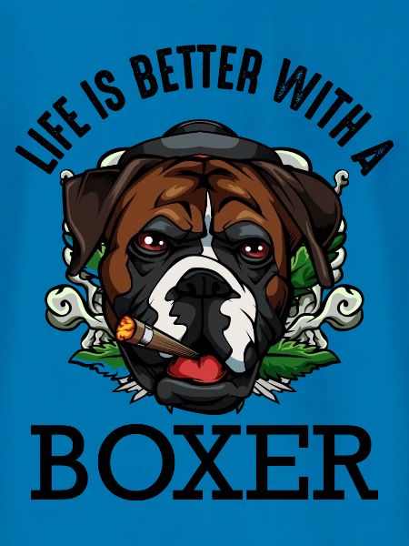 boxer