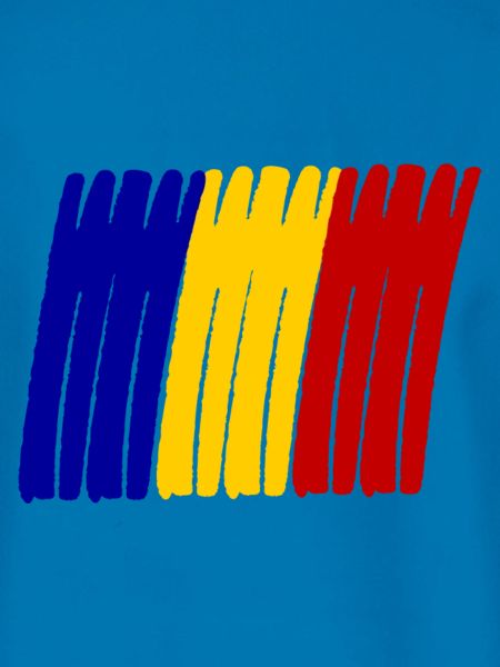 Rumänien painted Flag