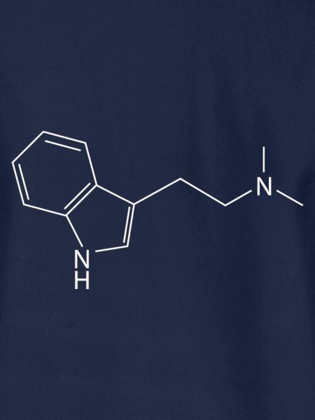 DMT Molekül Ayahuasca Dimethyltrypthamin