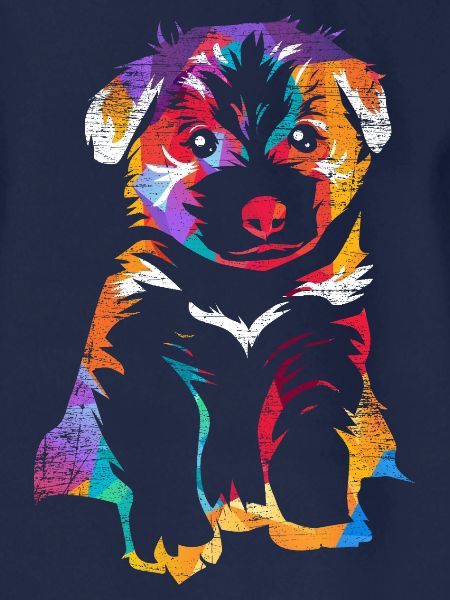 Flinker Border Collie Hütearbeit