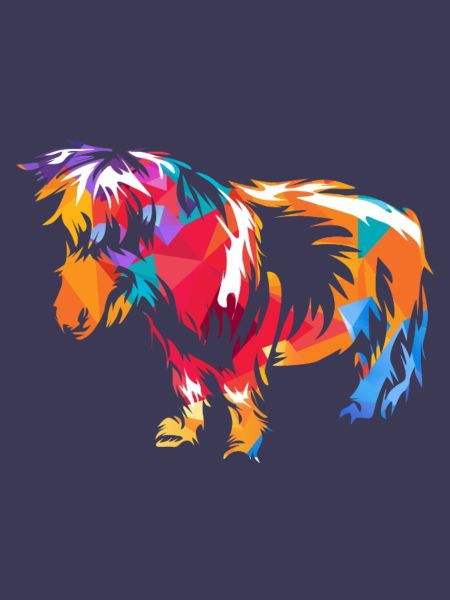 Munteres Shetlandpony Reitbegleiter