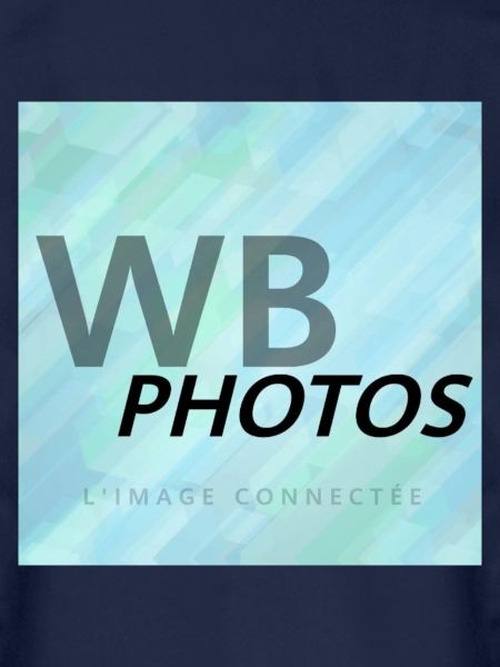 HELLBLAUES WBP-LOGO