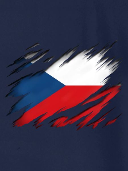 Tschechische Flagge