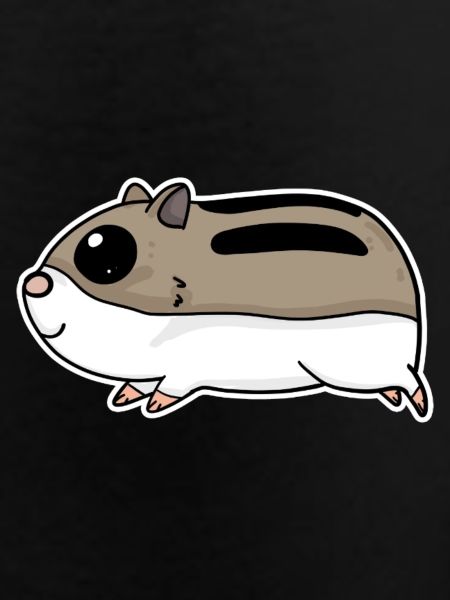 Cute hamster