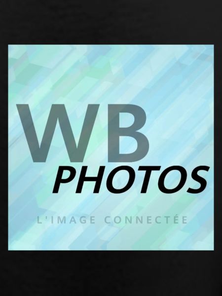 HELLBLAUES WBP-LOGO