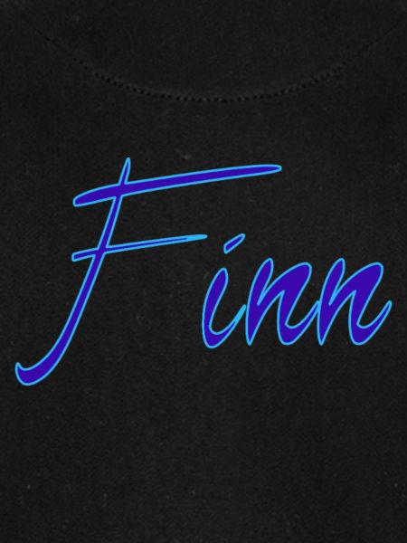 Name Finn