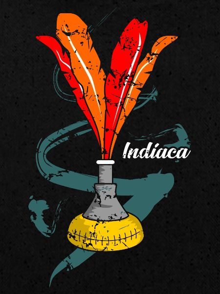 Indiaca Geschenkidee