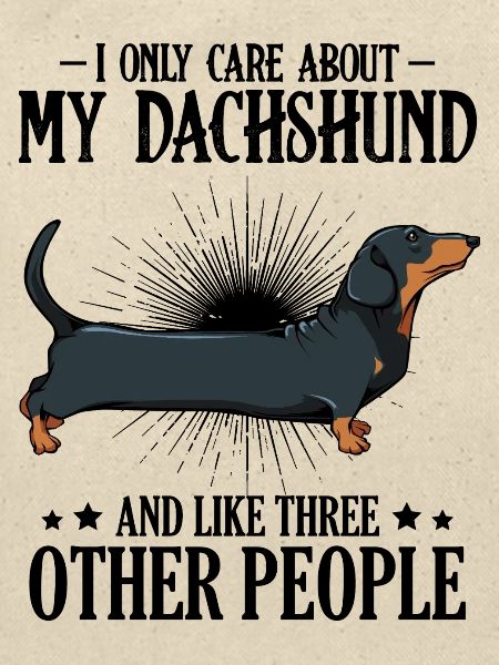 dachshund