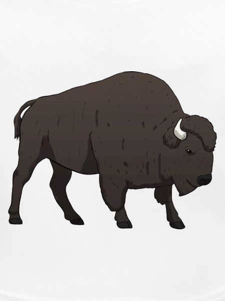 Bison Büffel
