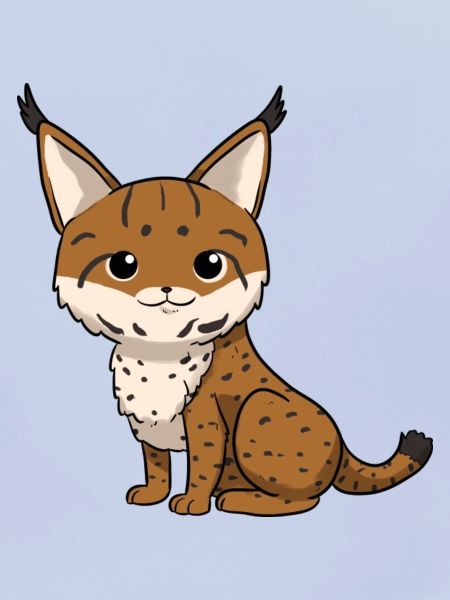 Luchs