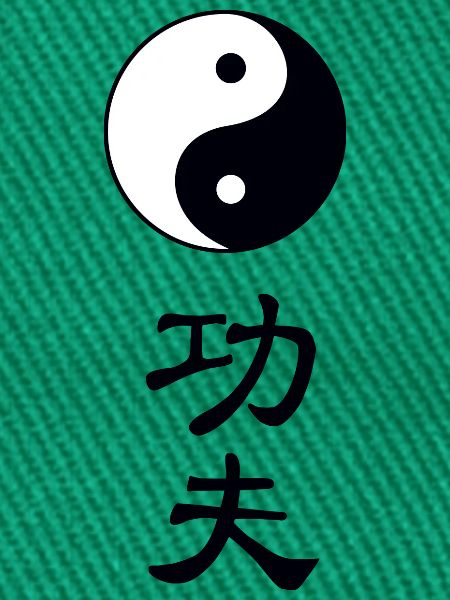 tao kung fu