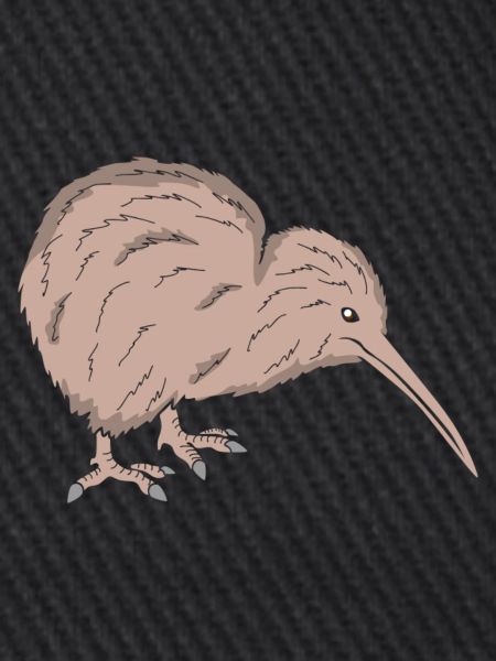 Kiwi Vogel
