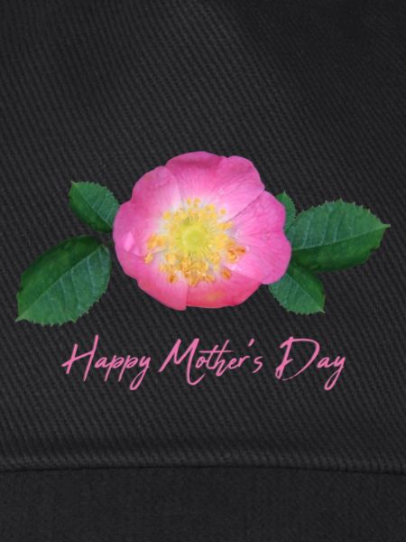mothers day rose