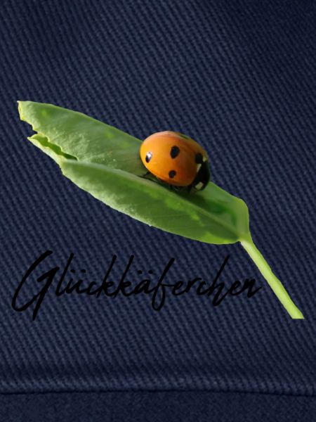 Glückskäferchen Marienkäfer Glücksbringer