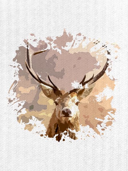 Hirsch