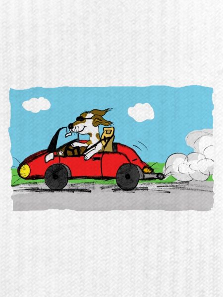 rennfahrer