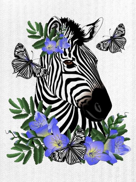 Zebra