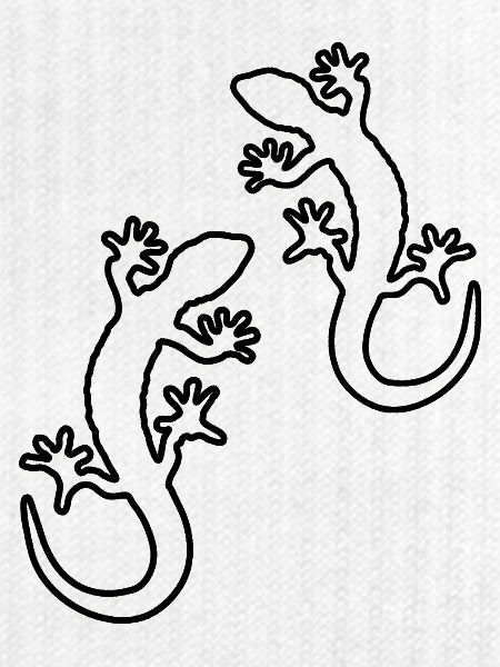 gecko zwei