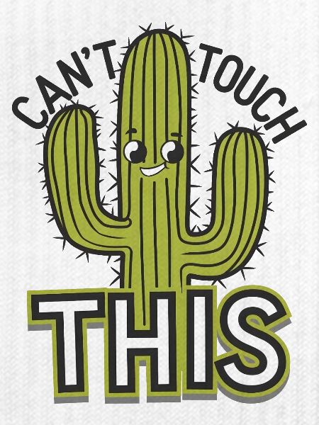 Can't Touch This