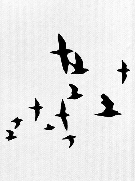 birds
