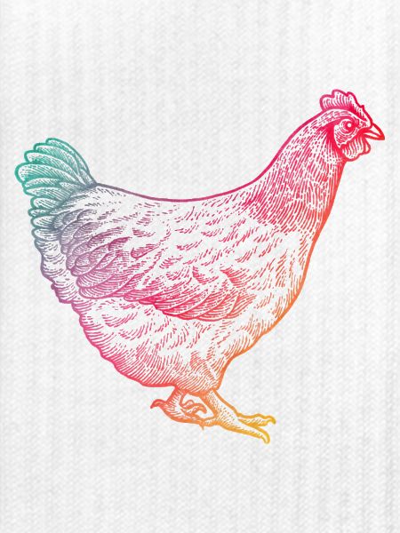 Huhn