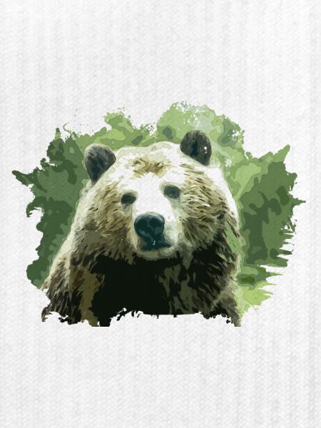 Bär